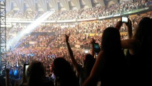 ligabue_roma_palalottomatica_2015 (5)